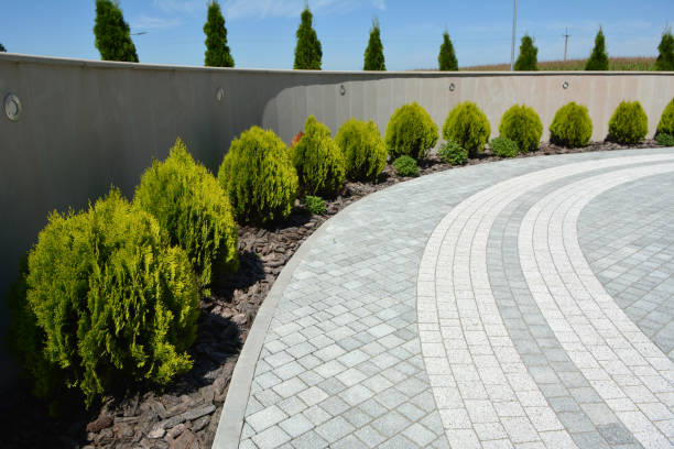 Best Driveway Paving Contractor  in Hebbronville, TX