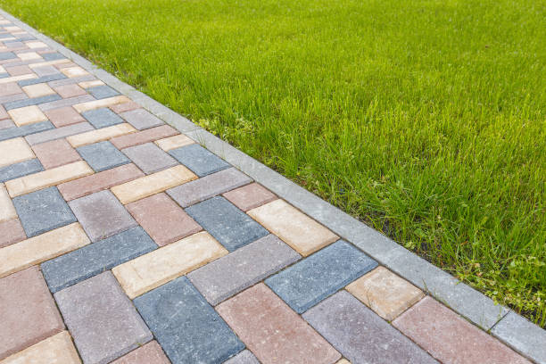 Best Professional Driveway Pavers  in Hebbronville, TX